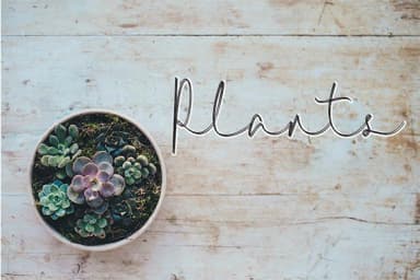 La Corie Font by Justlett — Script Handwritten Font — thumbnail 2