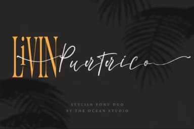 La Lune Duo Font by The Ocean Studio — Script Handwritten Font — thumbnail 2