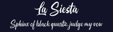La Siesta by Octotype  | Thomas Boucherie — Script Handwritten Font — thumbnail 2