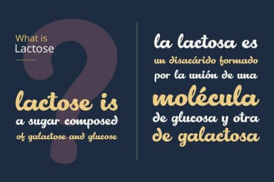 Lactosa Font by Nasir Udin — Script Handwritten Font — thumbnail 2