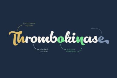 Lactosa Font by Nasir Udin — Script Handwritten Font — thumbnail 4