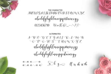 Ladies Font by Moly Mol — Script Handwritten Font — thumbnail 7