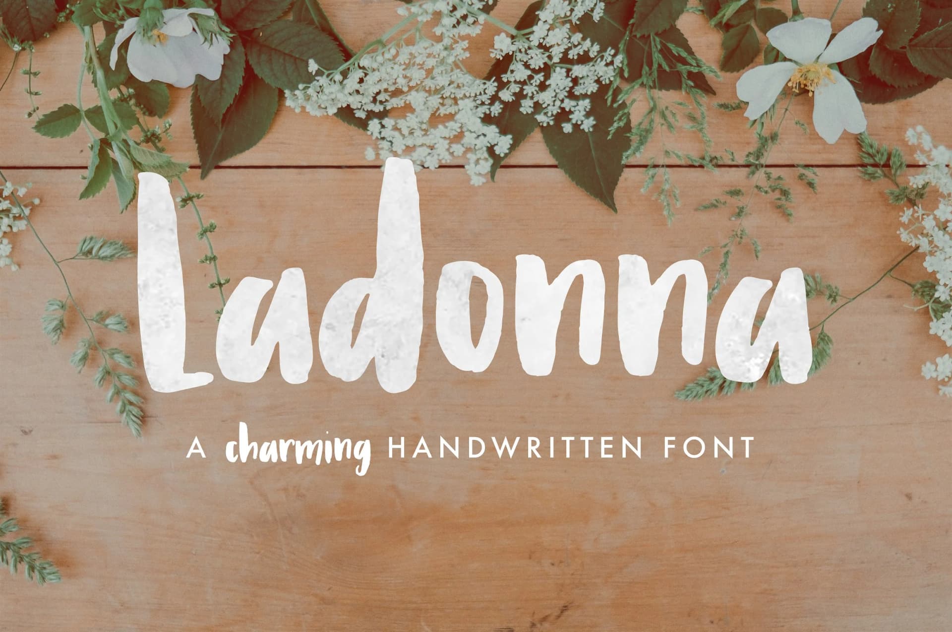 Ladonna Font by caseykleeb — Script Handwritten Font