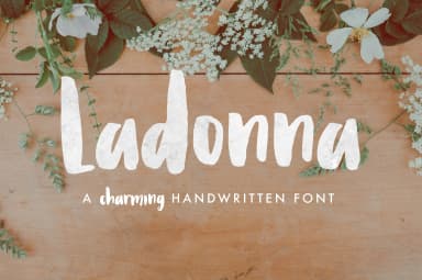 Ladonna Font by caseykleeb — Script Handwritten Font — thumbnail 1