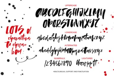 Lady in Red Font by Favete Art — Script Handwritten Font — thumbnail 2