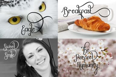 Lady Steady Font by Vegas Type — Script Handwritten Font — thumbnail 7