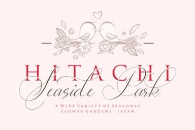 Lady Suettaya Font by Sulthan Studio — Script Handwritten Font — thumbnail 2