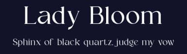 Lady Bloom by Slide Shoot Type — Serif Font — thumbnail 2