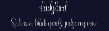 Ladybird by Andi Moz — Script Handwritten Font — thumbnail 2