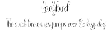 Ladybird by Andi Moz — Script Handwritten Font — thumbnail 1