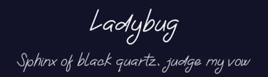 Ladybug by AminMario — Script Handwritten Font — thumbnail 2