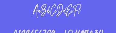 Lampard Signature by NJ Studio — Script Handwritten Font — thumbnail 3