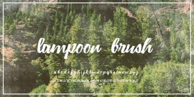Lampoon Brush Font by Good Gravy Type — Script Handwritten Font — thumbnail 2