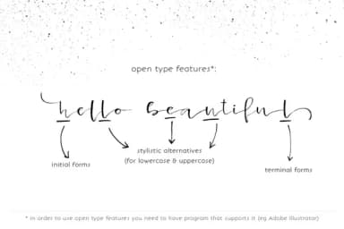 Lancaster Font by Favete Art — Script Handwritten Font — thumbnail 3