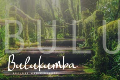 Landing Surely Font by aldedesign — Script Handwritten Font — thumbnail 3