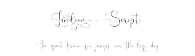 Landyon Script by Fridaytype — Script Handwritten Font — thumbnail 1