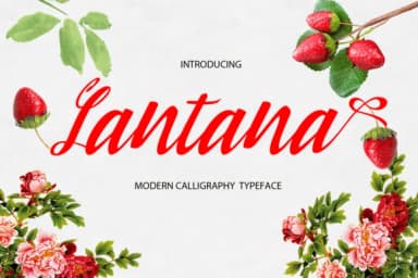 Lantana Font by Microcreative — Script Handwritten Font — thumbnail 1
