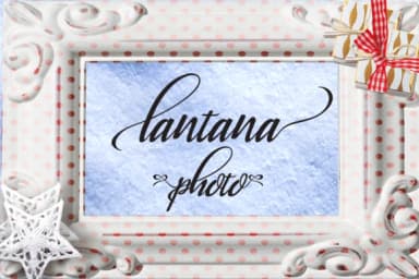 Lantana Font by Microcreative — Script Handwritten Font — thumbnail 3