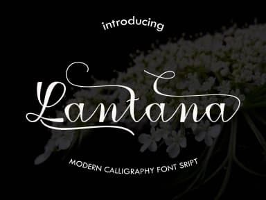 Lantana Font by Imun Studio by Imun Studio — Script Handwritten Font — thumbnail 1