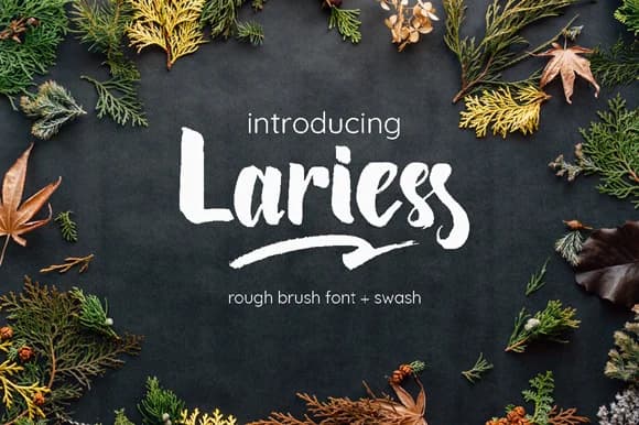 Lariess Font by Astageni — Script Handwritten Font