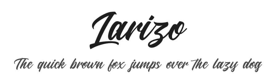 Larizo by Letterhend Studio — Script Handwritten Font