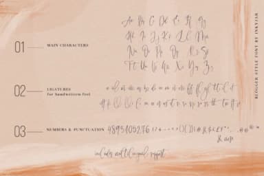 Lasiera Script Font by inkyjar — Script Handwritten Font — thumbnail 6