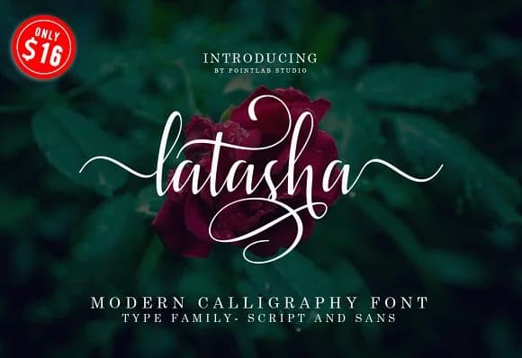 Latasha Font by PointLab — Script Handwritten Font