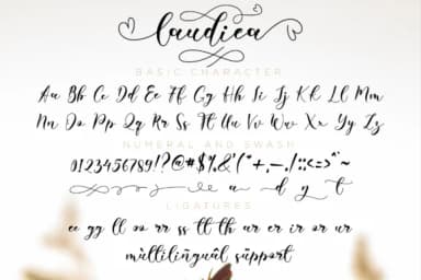 Laudiea Script Font by NissaStudio — Script Handwritten Font — thumbnail 7