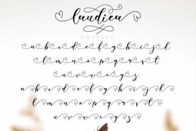Laudiea Script Font by NissaStudio — Script Handwritten Font — thumbnail 8