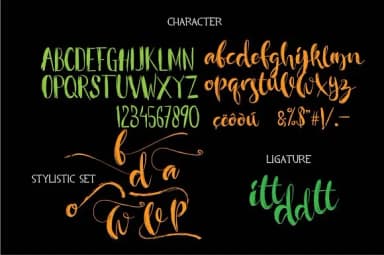 Layla Font by Olexstudio — Script Handwritten Font — thumbnail 3