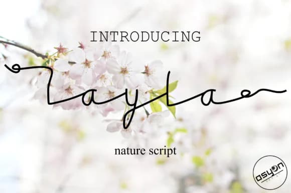 Layla Font by Ishmael Studio by Ishmael Studio — Script Handwritten Font