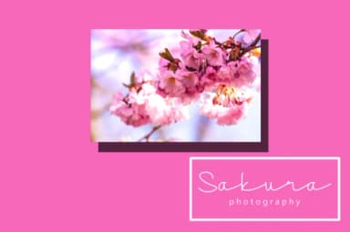 Layla Font by Ishmael Studio by Ishmael Studio — Script Handwritten Font — thumbnail 4