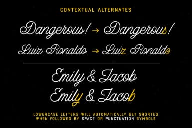 Lazy Ride  Font by hptypework — Script Handwritten Font — thumbnail 3