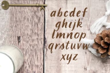 LBBrushy Font by Laura Bolter Design — Serif Font — thumbnail 2