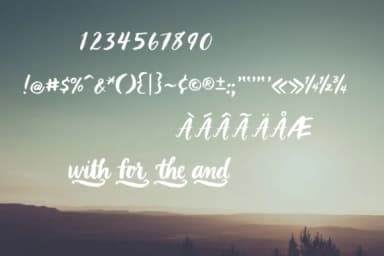 LBBrushy Font by Laura Bolter Design — Serif Font — thumbnail 4