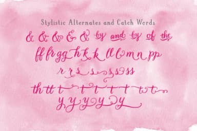 LBPie Font by Laura Bolter Design — Script Handwritten Font — thumbnail 2