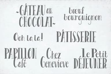 Le Petit Parisien Font by The Pen and Brush — Script Handwritten Font — thumbnail 4