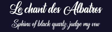 Le chant des Albatros by Octotype  | Thomas Boucherie — Script Handwritten Font — thumbnail 2