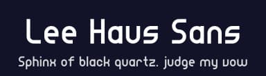 Lee Haus Sans by Matthew Lee — Sans Serif Font — thumbnail 2
