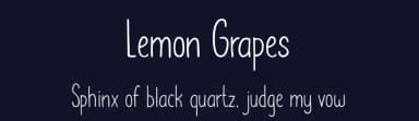Lemon Grapes by Scratch Design — Script Handwritten Font — thumbnail 2