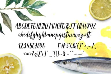 Lemonfish Font by Tabita's shop — Script Handwritten Font — thumbnail 6