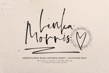 Lenka Morris Font by Blue Robin Design Shop — Script Handwritten Font — thumbnail 1