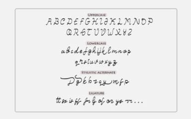 Letsdy Font by Letterdy — Script Handwritten Font — thumbnail 3
