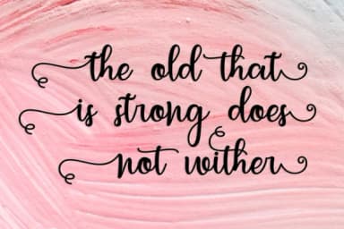 Letterbest Script Font by Bexx Type — Script Handwritten Font — thumbnail 5