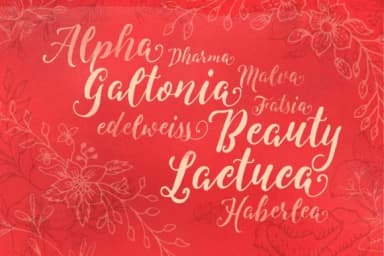 Levitte Font by flavortype — Script Handwritten Font — thumbnail 4