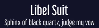Libel Suit by Typodermic Fonts — Sans Serif Font — thumbnail 2