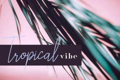 Liberika Font by TapaType — Script Handwritten Font — thumbnail 2