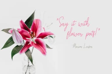 Liberika Font by TapaType — Script Handwritten Font — thumbnail 3