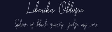 Liberika Oblique by Tezar Tantular — Script Handwritten Font — thumbnail 2