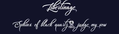 Libertinage by Octotype  | Thomas Boucherie — Script Handwritten Font — thumbnail 2